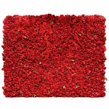Red Roses