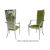 Botanical Gardens Armchair Silver Cushion Moss