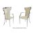 Celine Armchair Silver Cushion Ivory