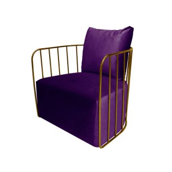 Reflection Accent Chair Bars Gold - Eggplant Velvet