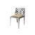 Reflection Chair Laser Cut Silver - Champagne Velvet