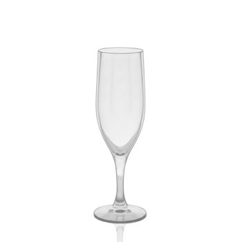Clear Acrylic Champagne Flute (Rack of 36) 6oz