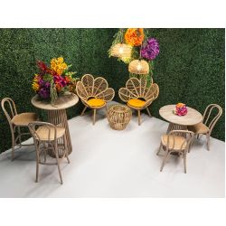 Rattan Package 13