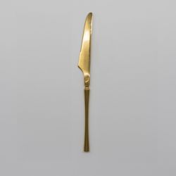 Timeless Flatware Dinner Knife Shinny Gold Set 10