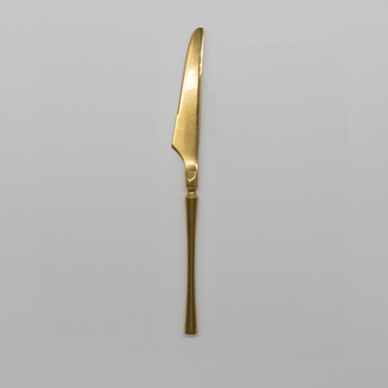 Shiny gold dinner knife with classic slim handle, sleek disposable flatware set of 10 for formal dinners, weddings, and luxury tablescapes.