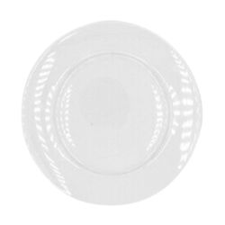 White Dinner Plate