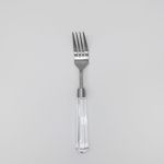 Acrylic salad fork with clear handle and silver head, set of 10