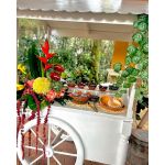 White vintage-style wagon cart with canopy roof and large wheels, deluxe display or dessert cart.