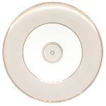 White charger plate with wide rim and thin gold trim, featuring a small gold circular detail in the center, extra-large round plate on a white background