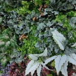 Lush green foliage wall backdrop with mixed leaves and floral accents, garden-style photo backdrop panel for weddings and events.