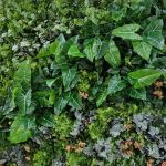 Lush green foliage wall backdrop with mixed leaves and floral accents, garden-style photo backdrop panel for weddings and events.