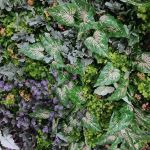 Lush green foliage wall backdrop with mixed leaves and floral accents, garden-style photo backdrop panel for weddings and events.
