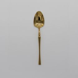 Timeless Flatware Dinner Spoon Shinny Gold Set 10