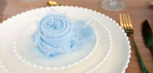 Charger Plates